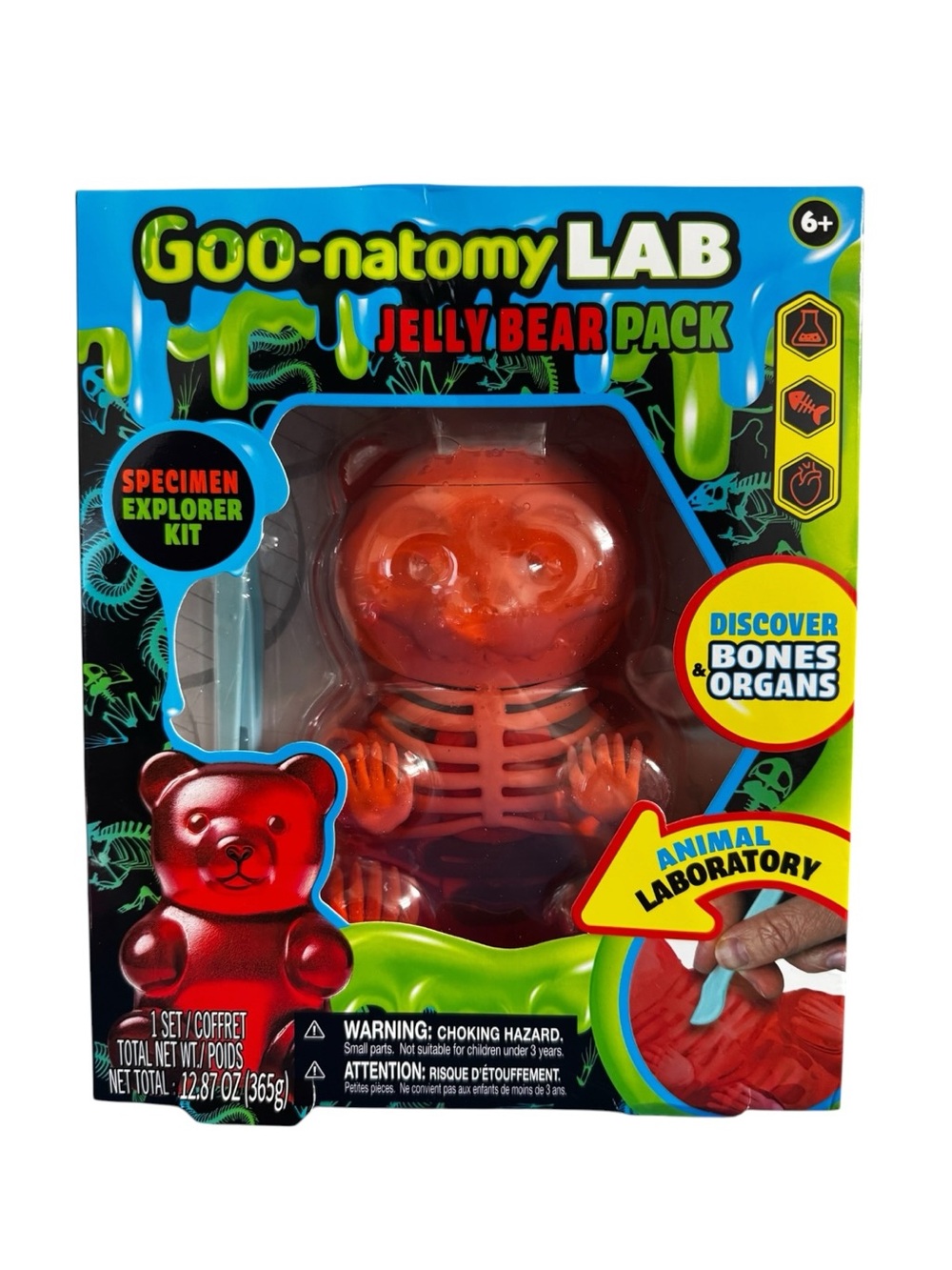 Good Anatomy LAB Jelly Bear Specimen Explorer Kit STEM Dissection Toy New